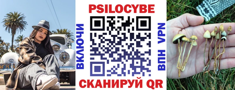 Псилоцибиновые грибы GOLDEN TEACHER  Тосно 